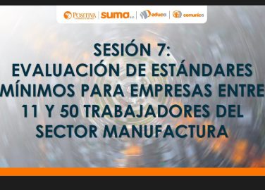 21.-PRESENTACION-SESION-7-EVALUACION-DE-ESTANDARES-MINIMOS-PORTADA