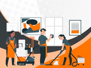 5 - SECTOR DOMESTICO