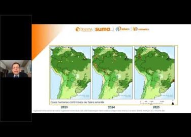 Actualización epidemiológica y lineamientos clínicos actualizados para la fiebre amarilla