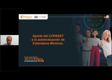 COPASST y estándares mínimos del SG-SST