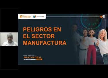 Cumplimiento de estándares mínimos, resolución 0312 :2019 en sector manufactura