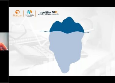 Diplomado internacional- Módulo 1- Entendiendo la cultura de seguridad. Tema 3- Los 3 pilares de la cultura de seguridad