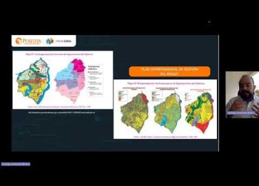 Estudios detallados de acuerdo con los resultados de análisis