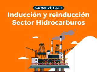 Inducción y reinducción del sector Hidrocarburos