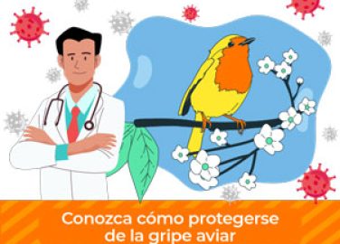 Explore nuestra guía de prevención de la gripe aviar para salvaguardar la salud. Consejos prácticos y medidas esenciales. 🐔🤒 #PrevenciónGripeAviar