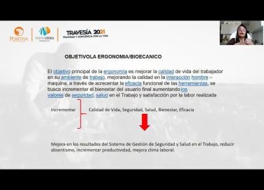 LA ADMINISTRACIÓN PÚBLICA Y LA PREVENCIÓN DE PELIGROS BIOMECÁNICOS