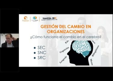 La-neuro-plasticidad-cerebral-y-el-cambio-en-las-organizaciones-