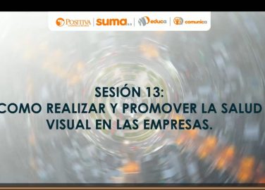 SESIÓN 13_ CÓMO REALIZAR Y PROMOVER LA SALUD VISUAL EN LAS EMPRESAS