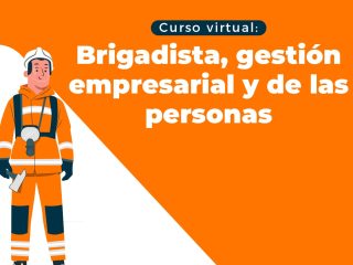 Brigadista, gestión empresarial y de las personas