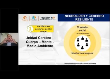 NEURO LÍDER Y EL CEREBRO RESILIENTE UN APORTE DE LAS NEUROCIENCIAS A LAS ORGANIZACIONES