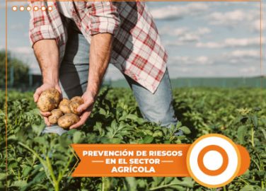 PREVENCIрN DE RIESGOS EN EL SECTOR AGRжCOLA