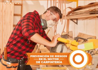 PREVENCIрN DE RIESGOS EN EL SECTOR DE CARPITENRжA