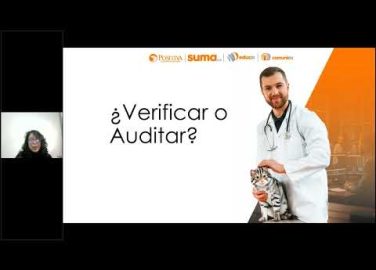 Principios básicos para auditorías exitosas en el PESV