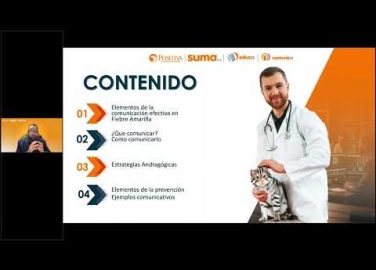 Programas De Comunicación Y Capacitación Para La Prevención De La Fiebre Amarilla