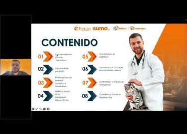 Relación Entre Comités Técnicos del SG-SST y Contratistas en las Organizaciones