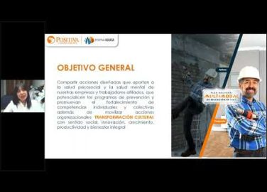 Resiliencia organizacional nueva herramienta web, avances y resultados