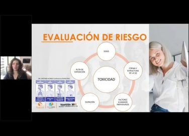 Sector construcción- Identificación de peligros químico, evaluación y control de riesgos