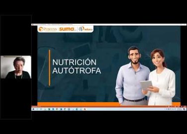 Imagen que representa la acción educativa Sesión 1: ¿Qué es la nutrición autótrofa? - Alimentación y estilos de vida saludable