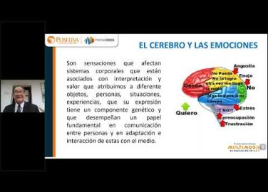 Sistemas motivacionales, una base neurocientífica para la evolución de la cultura de seguridad