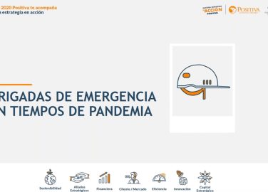 Brigadas de emergencia en tiempos de pandemia