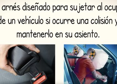 El cinturón de seguridad