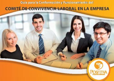 conformacion-funcionamiento-comite-convivencia-laboral-page-001