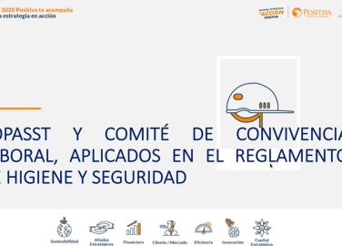 COPASST y comité de convivencia laboral, aplicados en el reglamento de higiene y seguridad