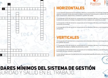 Estándares mínimos del SG-SST