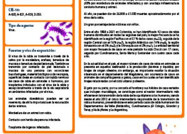 Ficha de vigilancia epidemiológica para rabia: Herramienta clave para monitorear y prevenir la propagación de la enfermedad.