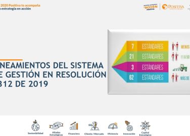 Lineamientos del sistema de gestión en Resolución 0312 de 2019