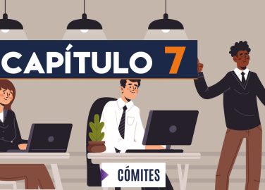 Capítulo 7: Comités (administración pública)