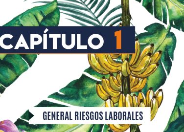 Capítulo 1: General riesgos laborales (agricultura, banano)