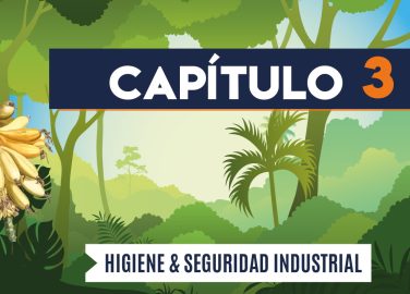 Capítulo 3: Higiene y seguridad industrial (agricultura, banano)