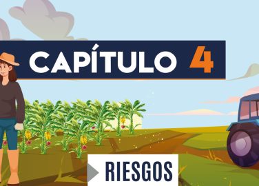 Capítulo 4: Riesgos (agricultura, banano)