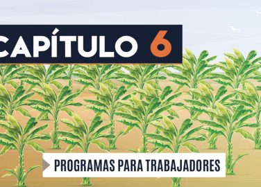 Capítulo 6: Programa para trabajadores (agricultura, banano)