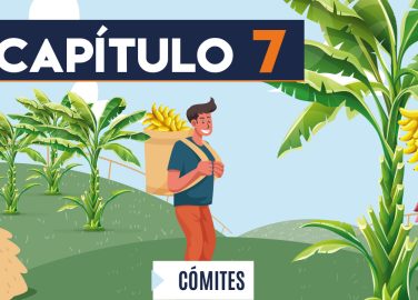 Capítulo 7: Comités (agricultura, banano)