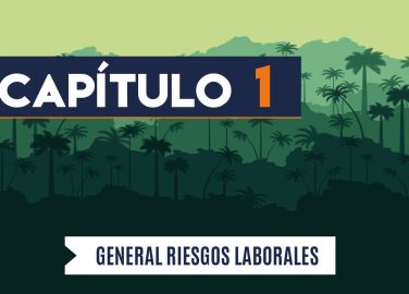 Capítulo 1: General riesgos laborales (agricultura, palma)