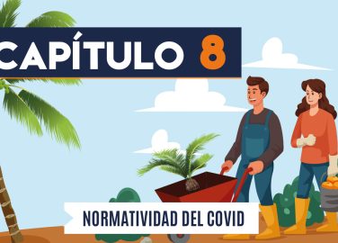 Capítulo 8: Normatividad COVID-19 (agricultura, palma)