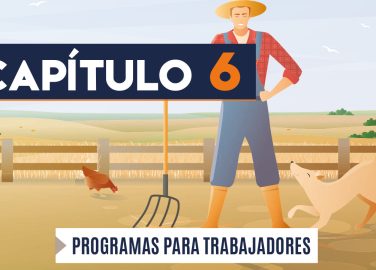 Capítulo 6: Programa para trabajadores (agricultura, transversal)