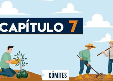 Capítulo 7: Comités (agricultura, transversal)