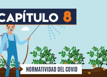 Capítulo 8: Normatividad COVID-19 (agricultura, transversal)