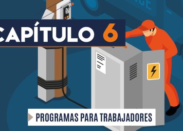 Capítulo 6: Programa para trabajadores (eléctrico)