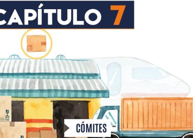 Capítulo 7: Comités (transporte de carga)