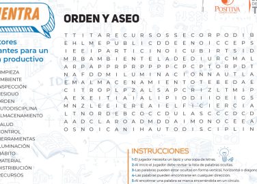 Sopa de letras: Orden y aseo