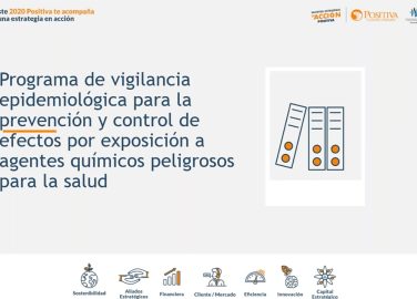 Programa de vigilancia epidemiológica para la prevención y control de efectos por exposición a agentes químicos peligrosos para la salud