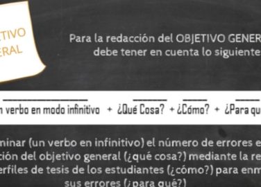 ¿Qué debe contener el PESVial?