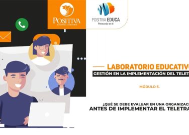 ¿Qué se debe evaluar en una organización antes de implementar el teletrabajo?