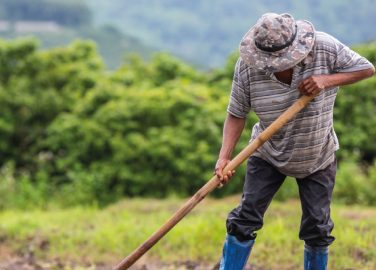 Recomendaciones prácticas de salud músculo-esquelética y física para el regreso al trabajo en el sector agricultura