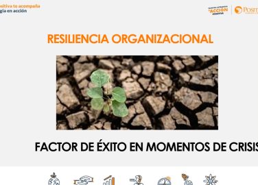 Resiliencia organizacional, factor clave de éxito en tiempos de crisis