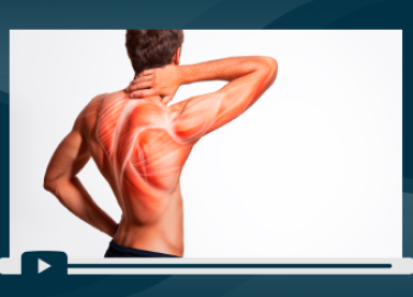 Sesión 2: Repensar la manera de gestionar la salud musculoesquelética para impactar favorablemente-portada